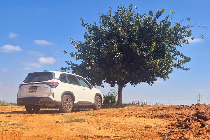 סובארו פורסטר החדש במבחן דרכים